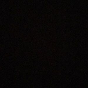 Meet your Posher, Lexie